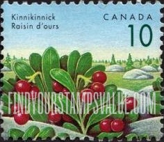 FindYourStampsValue: Edible Berries: Kinnikinnick