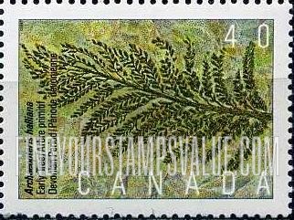 FindYourStampsValue: Prehistoric Life Type of 1990: Early tree
