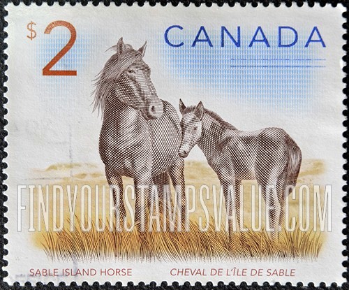 FindYourStampsValue: Sable Island horses