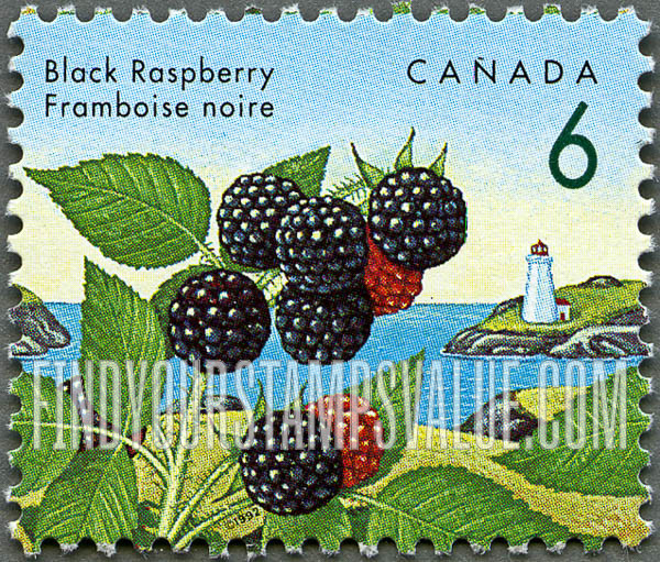 FindYourStampsValue: Black raspberry