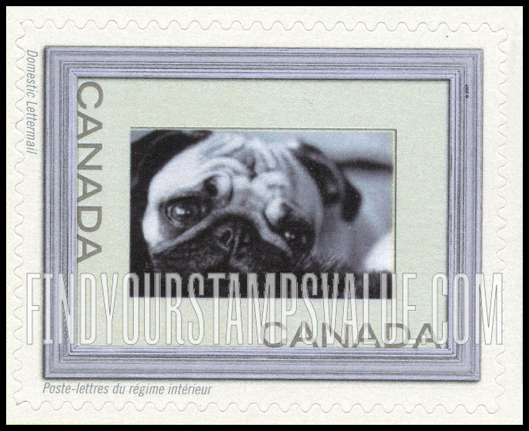 FindYourStampsValue: Dog