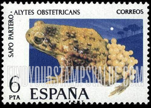 FindYourStampsValue: Midwife toad