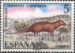 FindYourStampsValue: Egyptian Mongoose