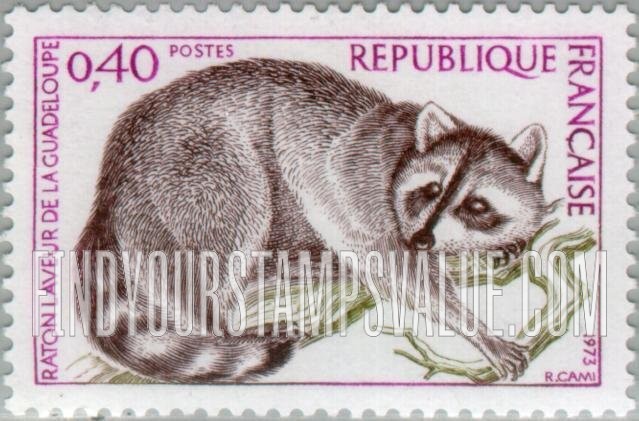 FindYourStampsValue: Guadeloupe Raccoon