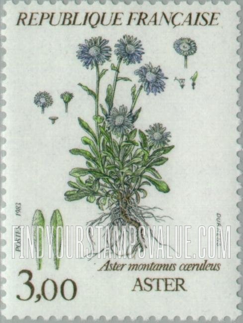 FindYourStampsValue: Aster