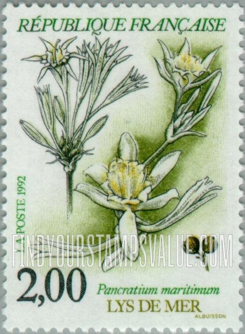 FindYourStampsValue: Flowers: Pancratium maritimum