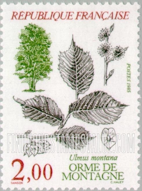 FindYourStampsValue: Ulmus montana