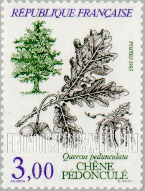 FindYourStampsValue: Quercus pedunculata