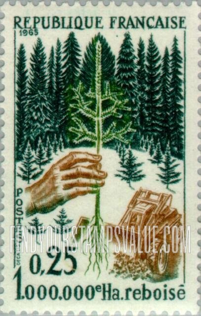 FindYourStampsValue: Planting Seedling