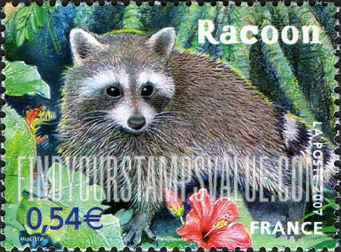 FindYourStampsValue: Endangered Animals in Overseas Departments: Raccoon, horizontal