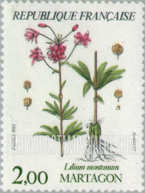 FindYourStampsValue: Martagon lily