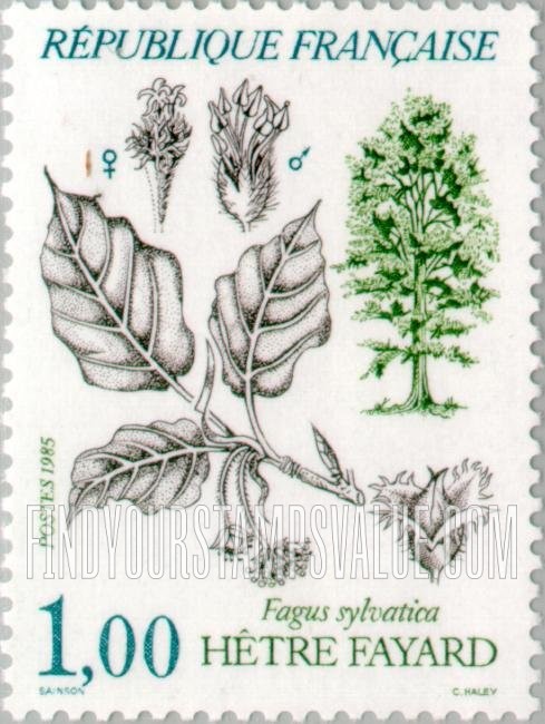 FindYourStampsValue: Fagus sylvatica