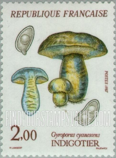 FindYourStampsValue: Mushrooms: Gyroporus cyanescens