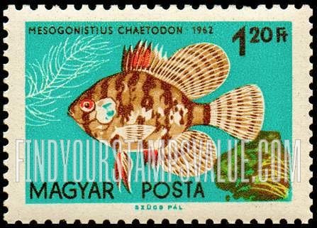 FindYourStampsValue: Tropical Fish: Mesogonistius chaetodon