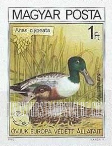 FindYourStampsValue: Shoveler