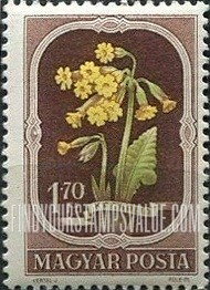 FindYourStampsValue: Cowslip