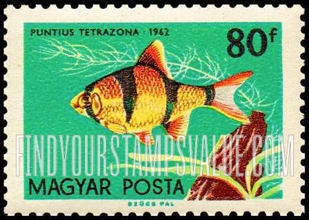 FindYourStampsValue: Tropical Fish: Puntius tetrazona