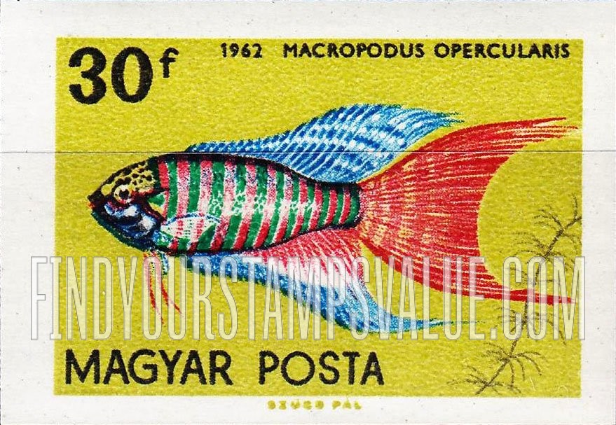 FindYourStampsValue: Tropical Fish: Macropodus opercularis