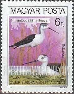 FindYourStampsValue: Black-necked stilt