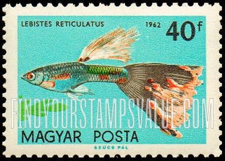 FindYourStampsValue: Tropical Fish: Lebistes reticulatus