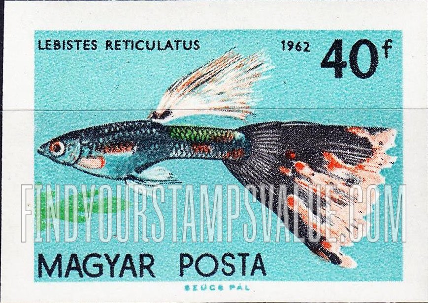 FindYourStampsValue: Tropical Fish: Lebistes reticulatus