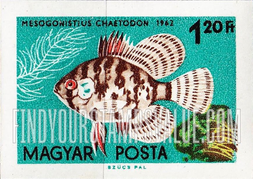FindYourStampsValue: Tropical Fish: Mesogonistius chaetodon