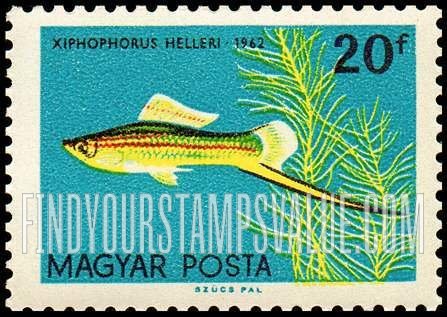 FindYourStampsValue: Tropical Fish: Xiphophorus Helleri
