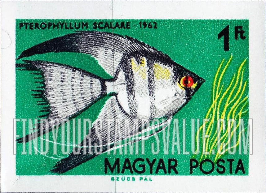 FindYourStampsValue: Tropical Fish: Pterophyllum scalare