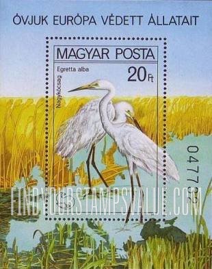 FindYourStampsValue: Great white heron