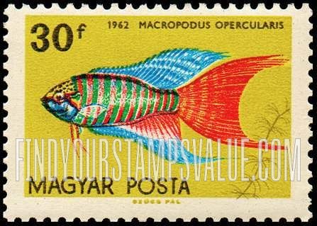FindYourStampsValue: Tropical Fish: Macropodus opercularis