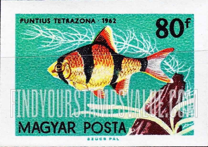 FindYourStampsValue: Tropical Fish: Puntius tetrazona