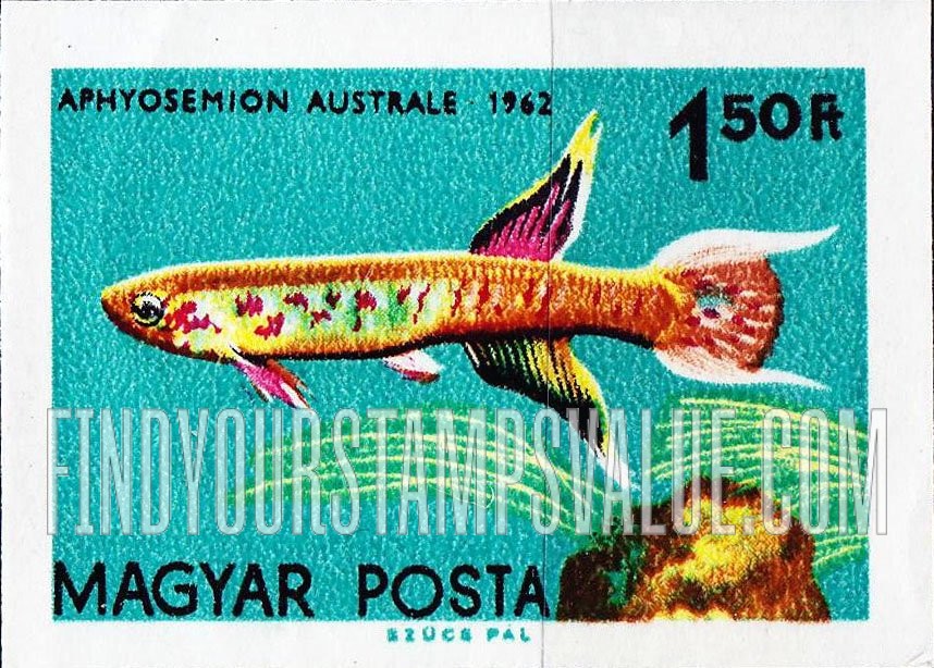 FindYourStampsValue: Tropical Fish: Aphyosemion australe