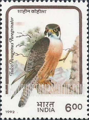 FindYourStampsValue: Republic of India: Falco peregrinus peregrinator - भारत गणराज्य: शाहीन कोहीला