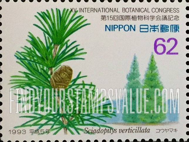 FindYourStampsValue: Sciadopitys verticillata - コウヤマキ