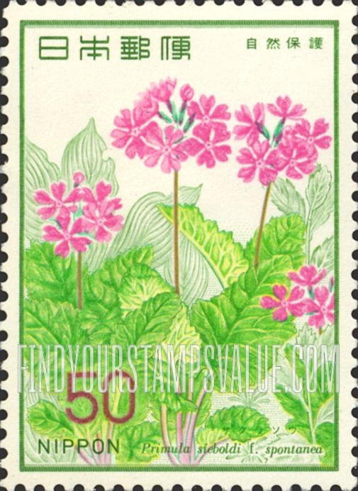 FindYourStampsValue: Primrose - サクラソウ