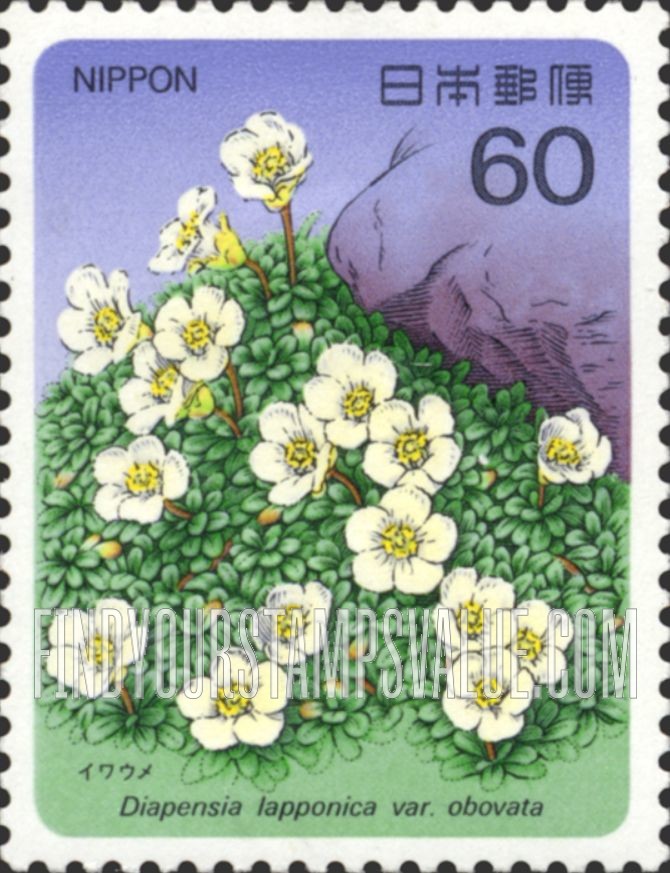 FindYourStampsValue: Deapensia Lapponica - イワウメ