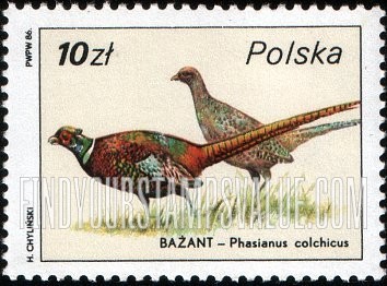 FindYourStampsValue: Wildlife: Phasianus colchicus