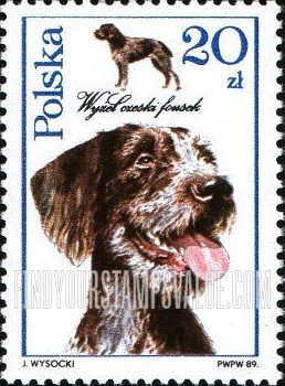 FindYourStampsValue: Dogs: Czech fousek pointer