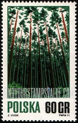 FindYourStampsValue: Forest
