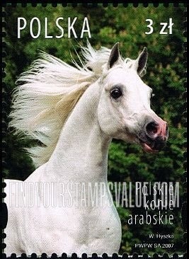 FindYourStampsValue: Arabian Horses: Color of horse White