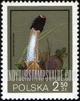 FindYourStampsValue: Phallus hadriani