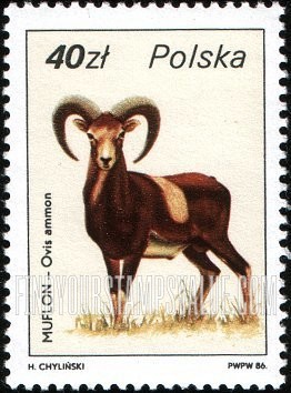 FindYourStampsValue: Wildlife: Ovis ammon, vertical