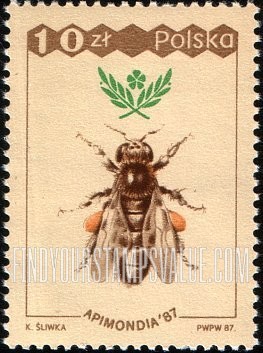 FindYourStampsValue: Worker