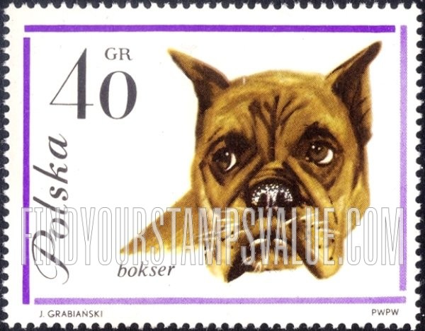FindYourStampsValue: Boxer