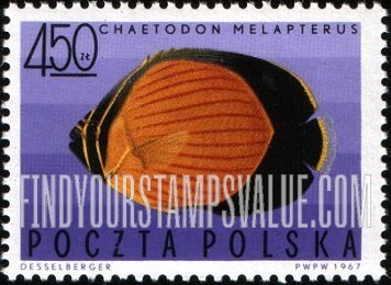 FindYourStampsValue: Tropical fish: Black-eye butterflyfish