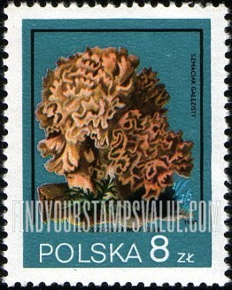 FindYourStampsValue: Sparassis crispa