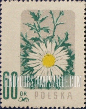 FindYourStampsValue: Carline Thistle