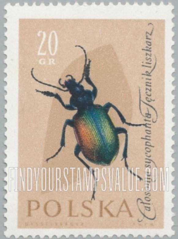 FindYourStampsValue: Insects: Ground Beetle