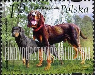 FindYourStampsValue: Dogs: Gonczy polski (Polish hound)