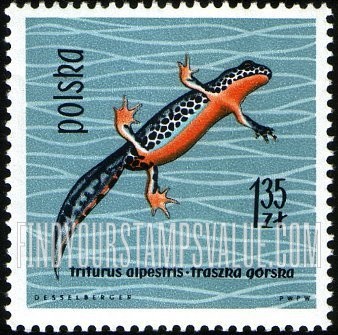 FindYourStampsValue: Alpine newt